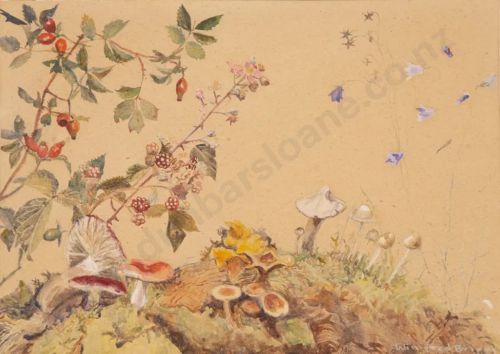 Winifred Briggs - Wild Mushrooms and Berries Image 1++