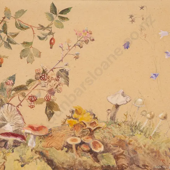 Winifred Briggs - Wild Mushrooms and Berries