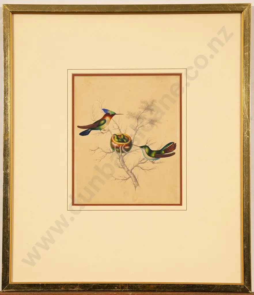 Bookplate together with Graphite and Watercolour of Birds Image 1++