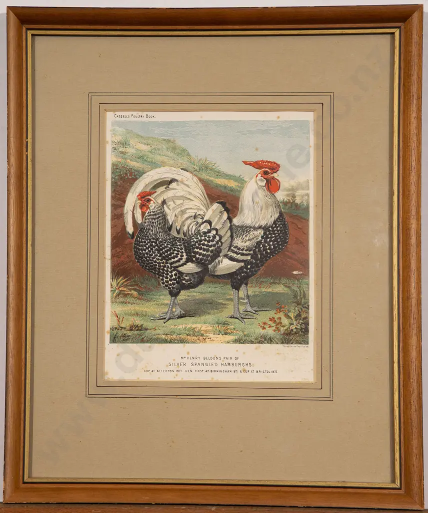 Set of Five Illustrations From Cassell's Poultry Book Image 1++