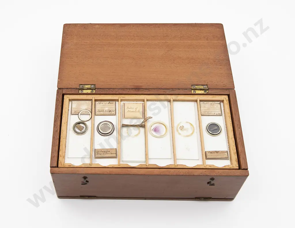 Mahogany Scientific Glass Specimen Slide Box Image 1++