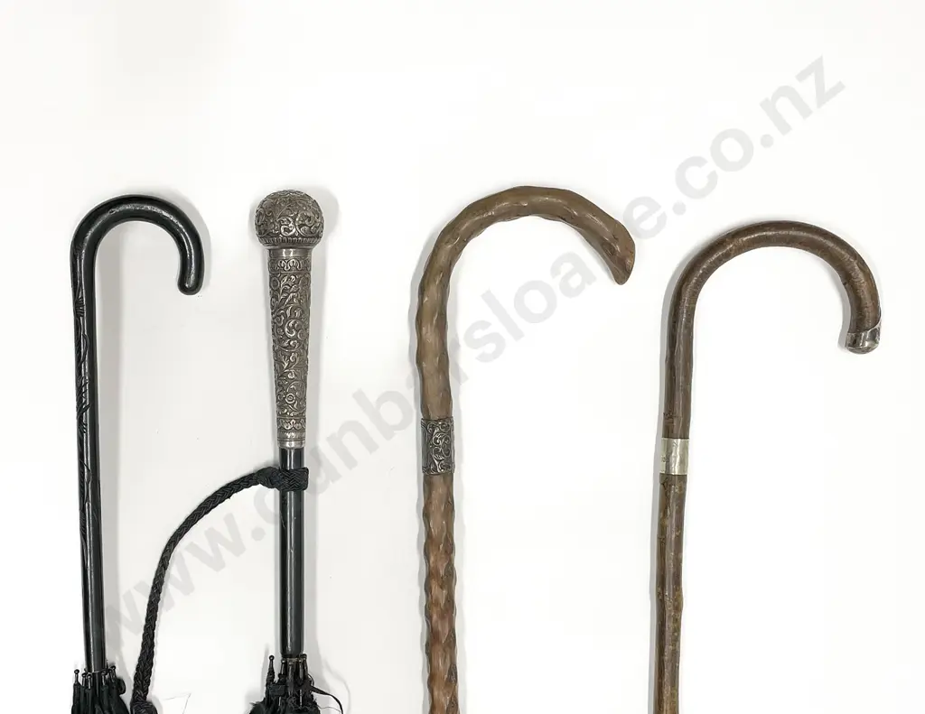 Two Late C19th Walking Canes Image 1++