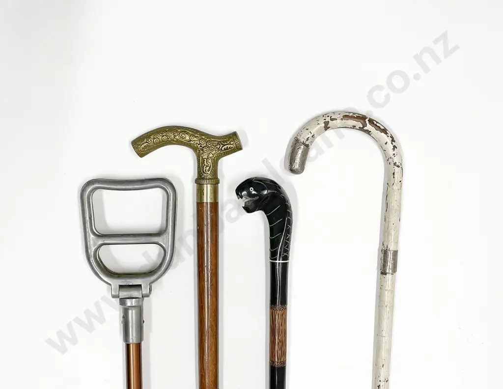 Collection Three Various Walking Sticks and Shooting Stick Image 1++