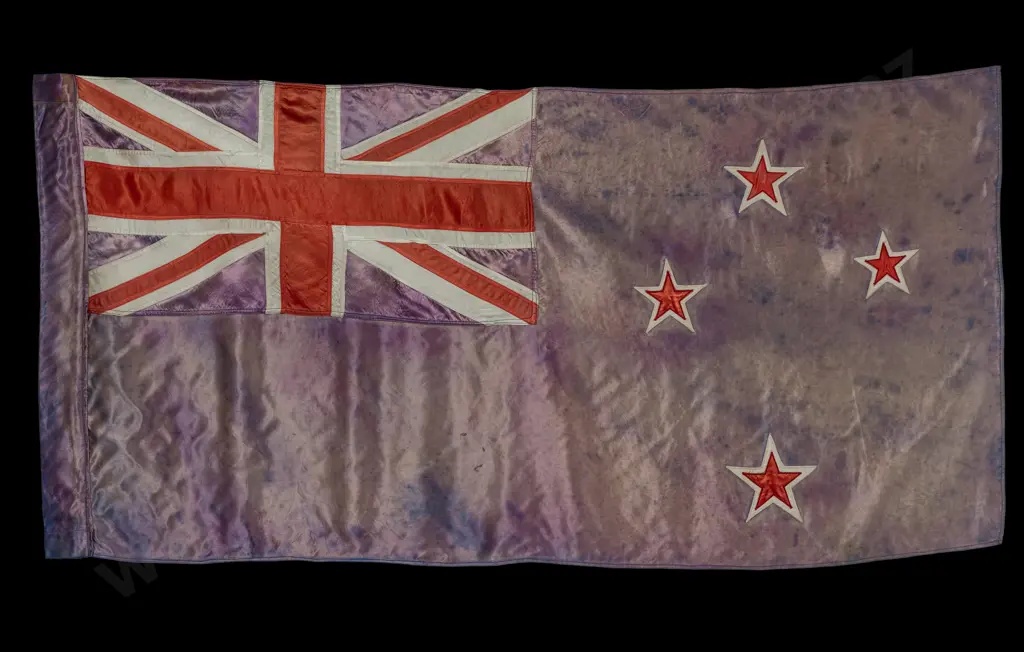 The Wellington Citizens Flag Image 1++