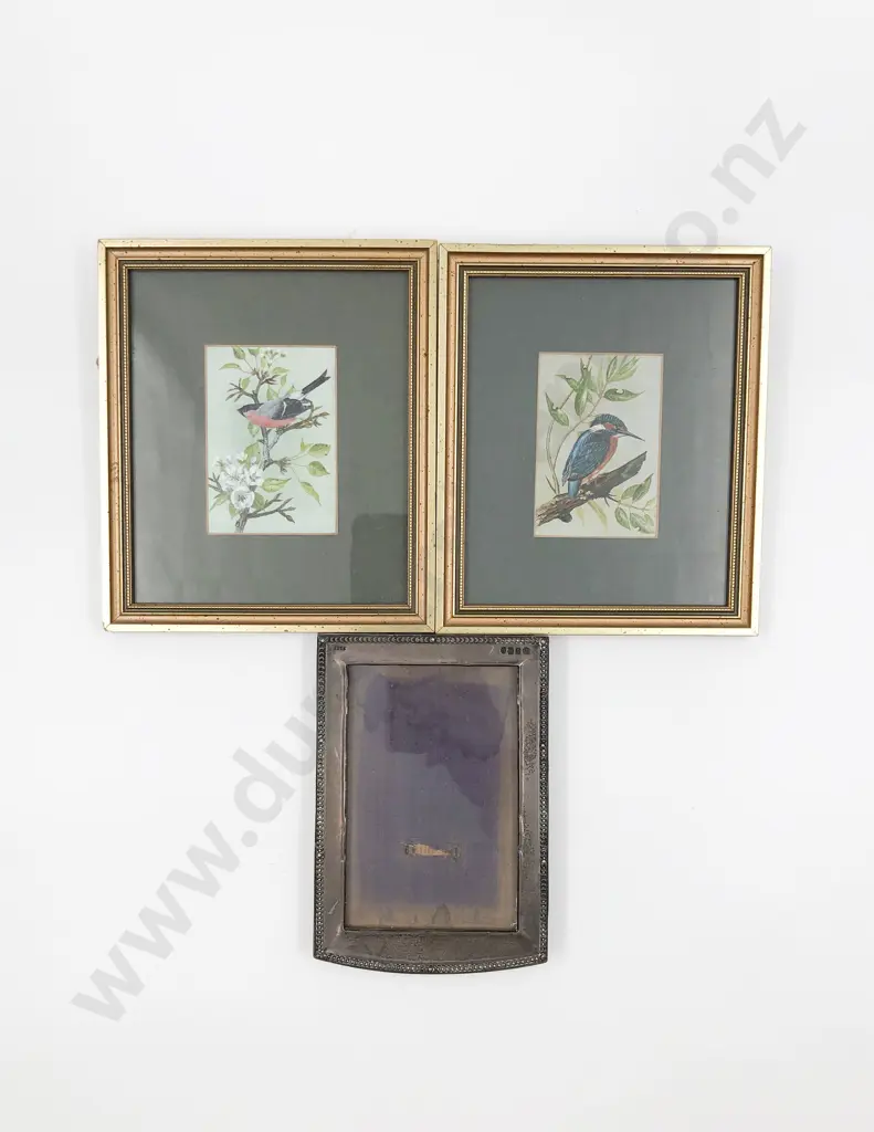 Pair of Gilt Framed Bird Paintings and S/S Photo Frame Image 1++