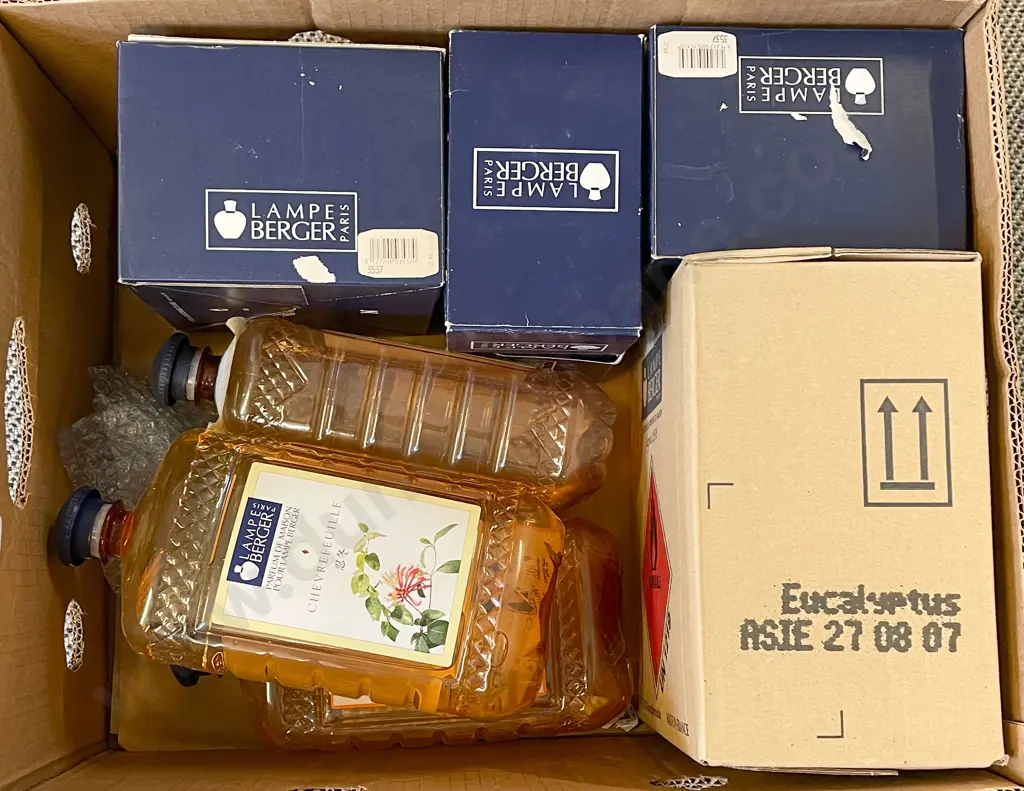 Box of Assorted Torch Lamps and Torch Fluid Etc. Image 1++