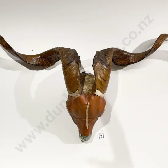 Taxidermy Horn Display With Leather Mask and Paua Inserts