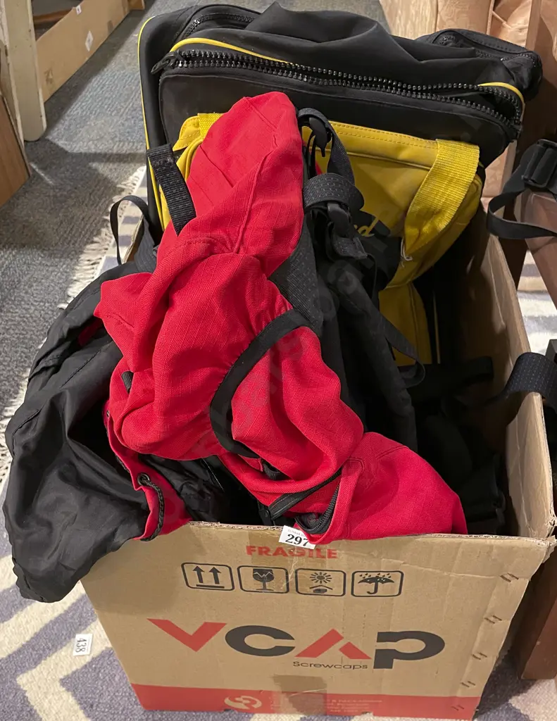 Box of Assorted Travel and Tramping Bags Image 1++