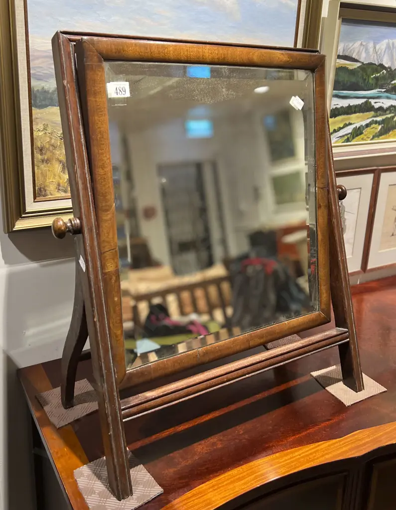 Antique Toilet Swing Mirror Image 1++