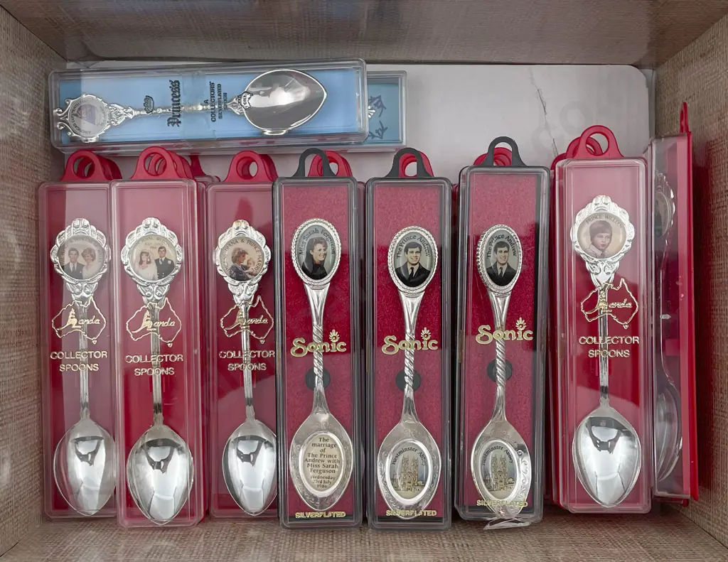 The Collectors World Set of Six Teaspoons Image 1++