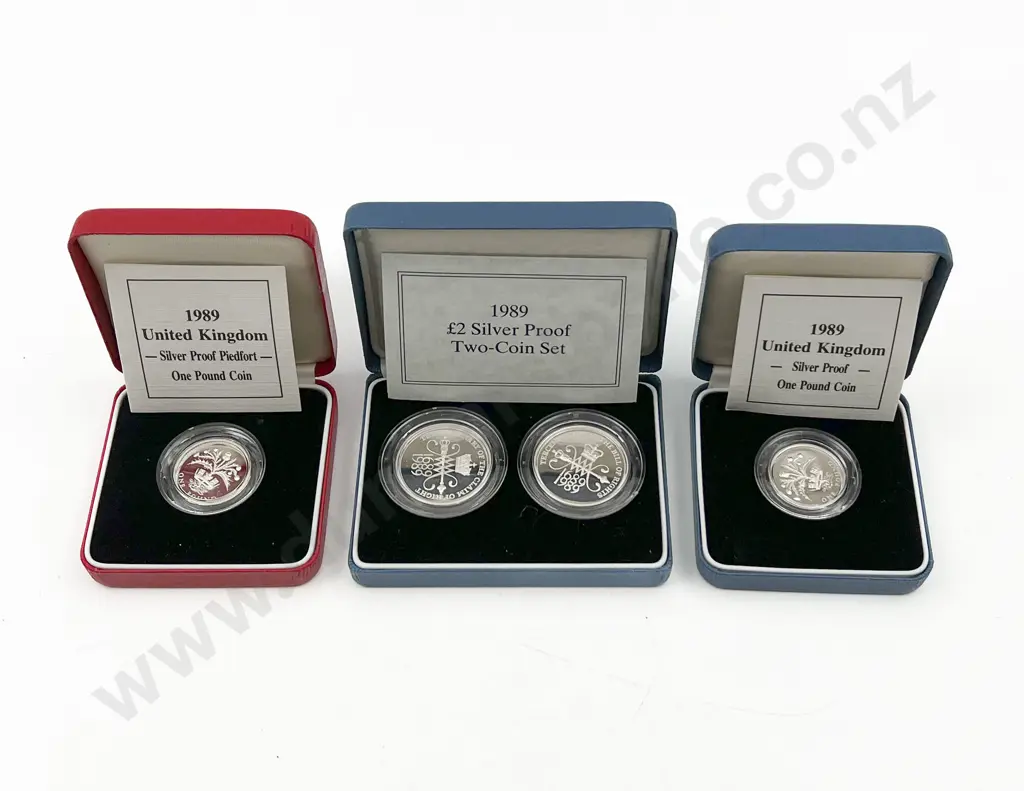 UK 1989 £1 Silver Proof Piedfort Coin and £1 Silver Coin Proof Scottish Design Image 1++