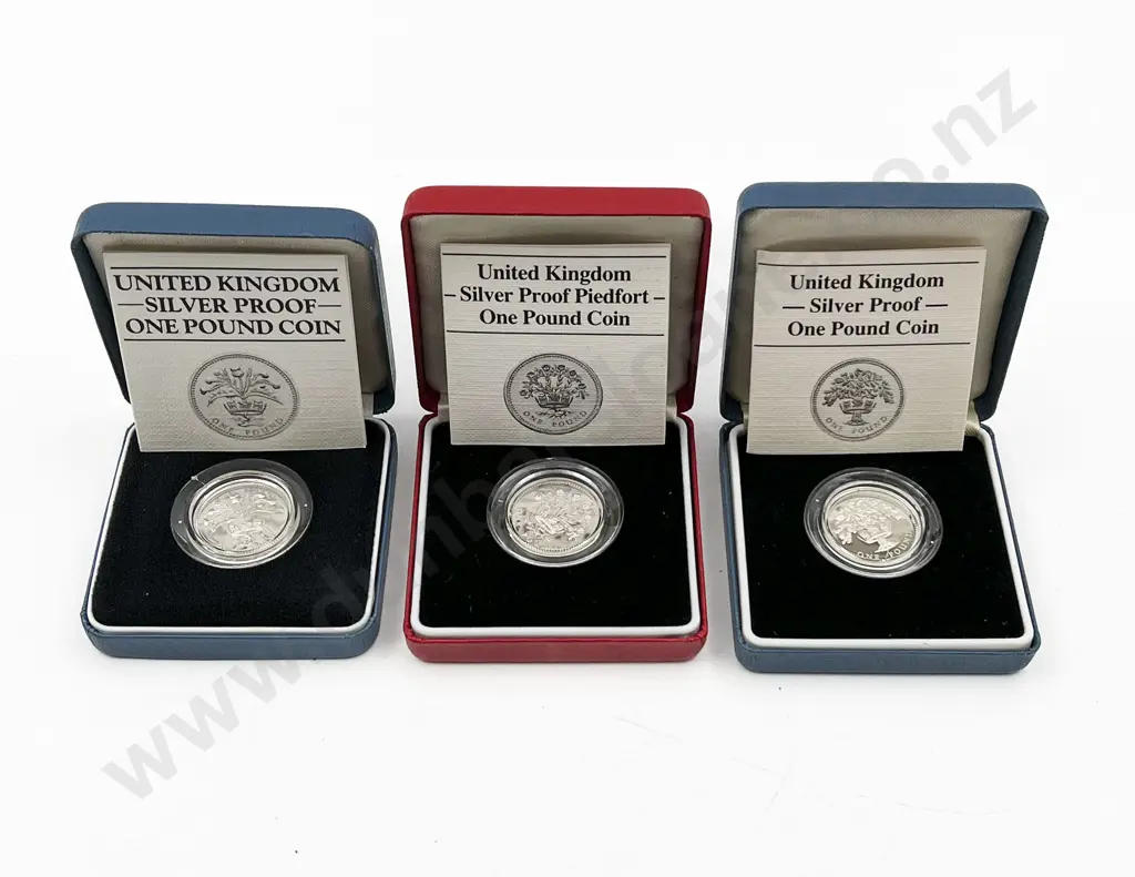UK 1986 £1 Silver Proof Piedfort Coin and 1984 1987 £1 Silver Coin Proofs Image 1++