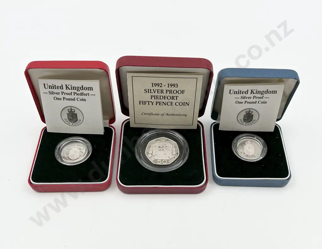 UK 1988 £1 Silver Proof Piedfort Coin and £1 Silver Coin Proof Image 1++