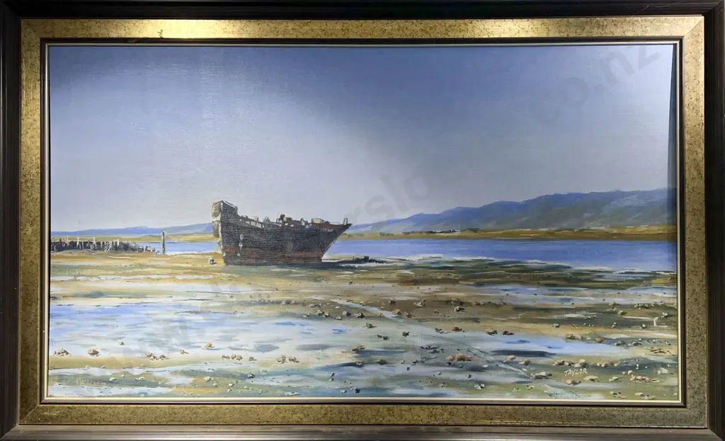 Murray Taylor - Motueka Shipwreck Image 1++