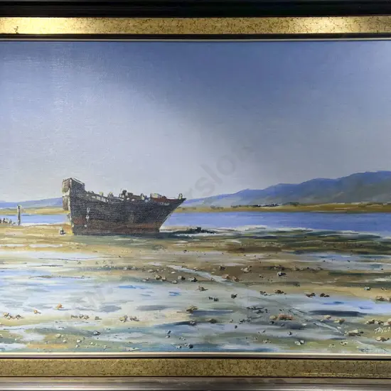 Murray Taylor - Motueka Shipwreck