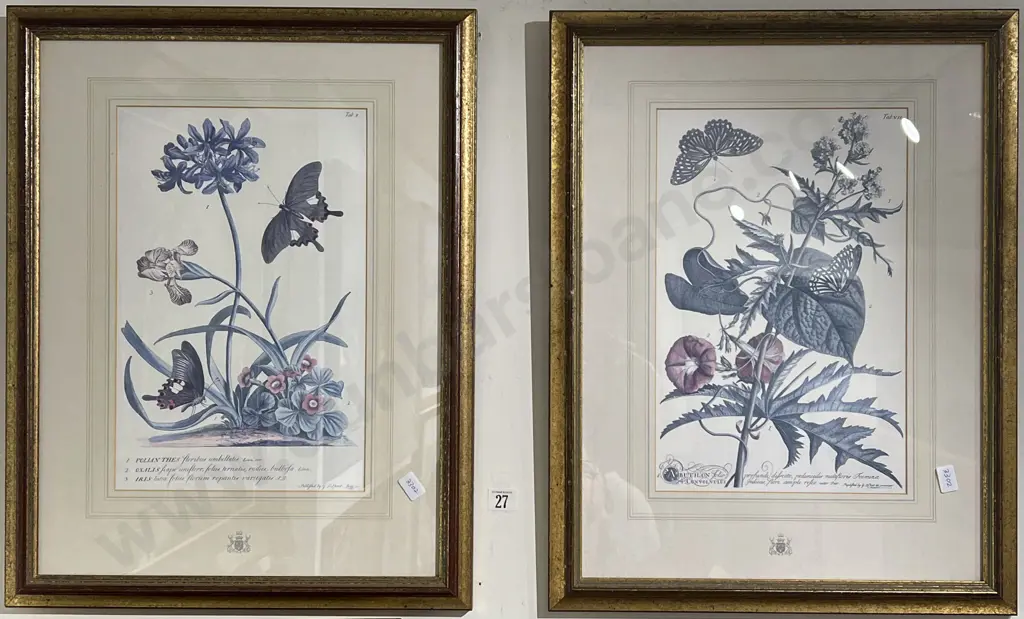Two Gilt Framed Botanical Prints Image 1++