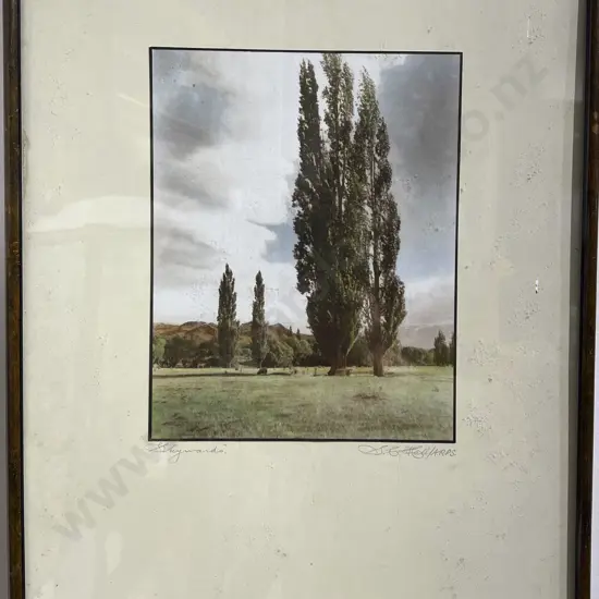 Two Photographic Works Incl. by S. C. Hall