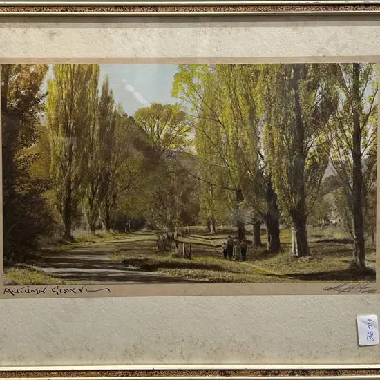 Two Photographic Works by Martin Barraball and A. R. Kingsford & Son
