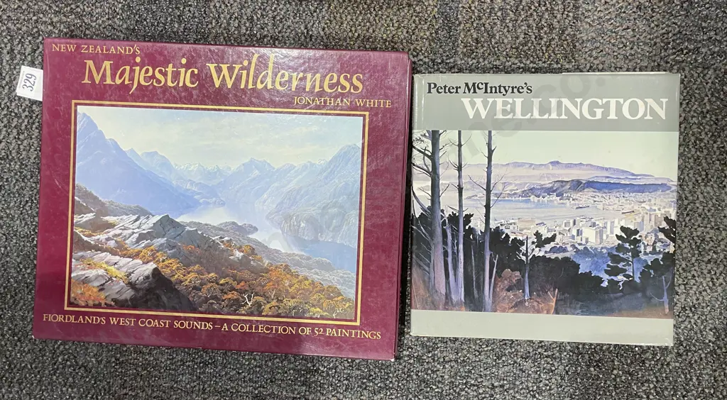 Peter McIntyre's Wellington Together With New Zealand's Majestic Wilderness Image 1++