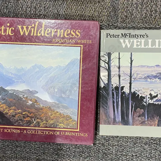 Peter McIntyre's Wellington Together With New Zealand's Majestic Wilderness