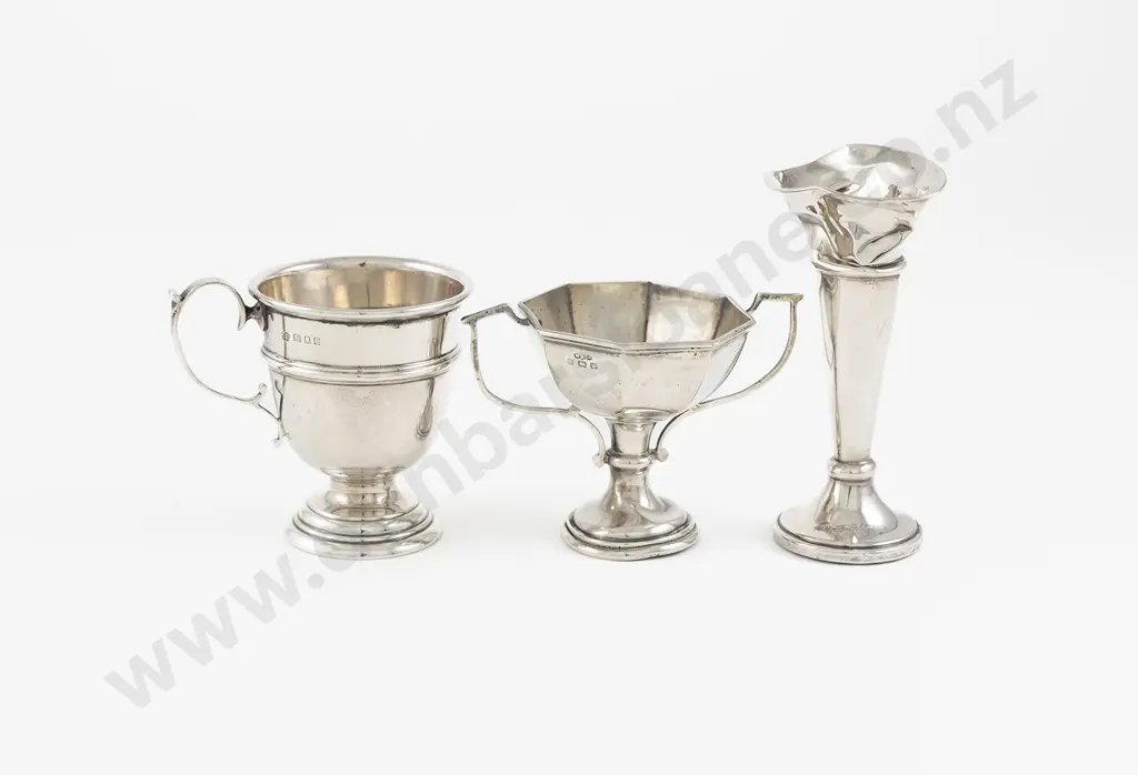 Small S/S Cup -  Prize Cup & Specimen Vase Image 1++