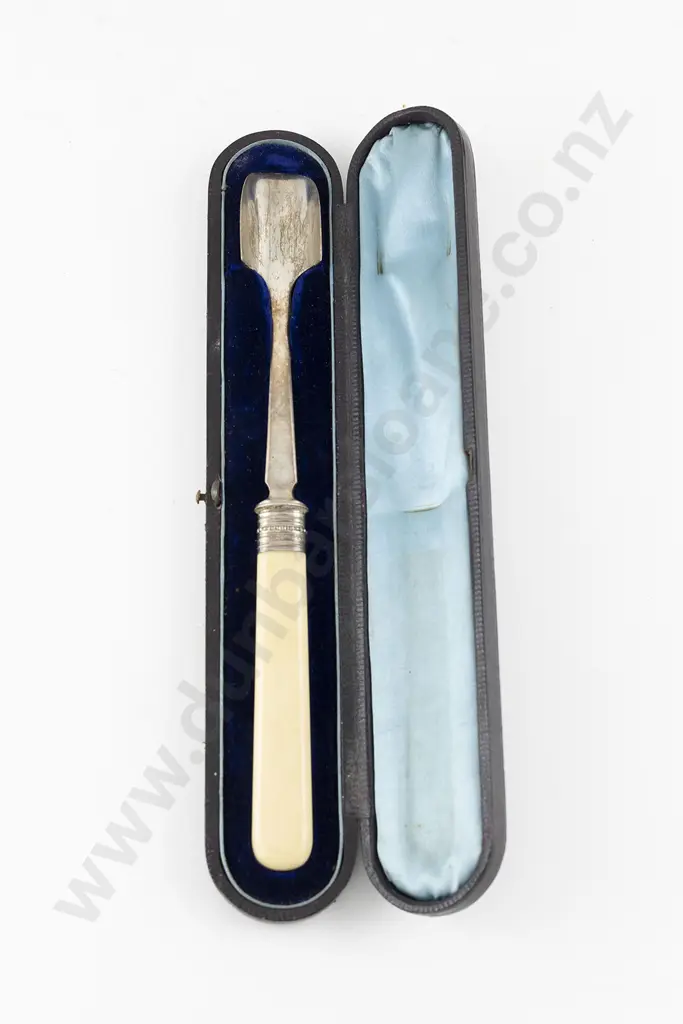 Cased Vict S/S Ivory Handled Cheese Scoop Image 1++