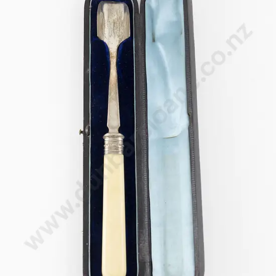Cased Vict S/S Ivory Handled Cheese Scoop
