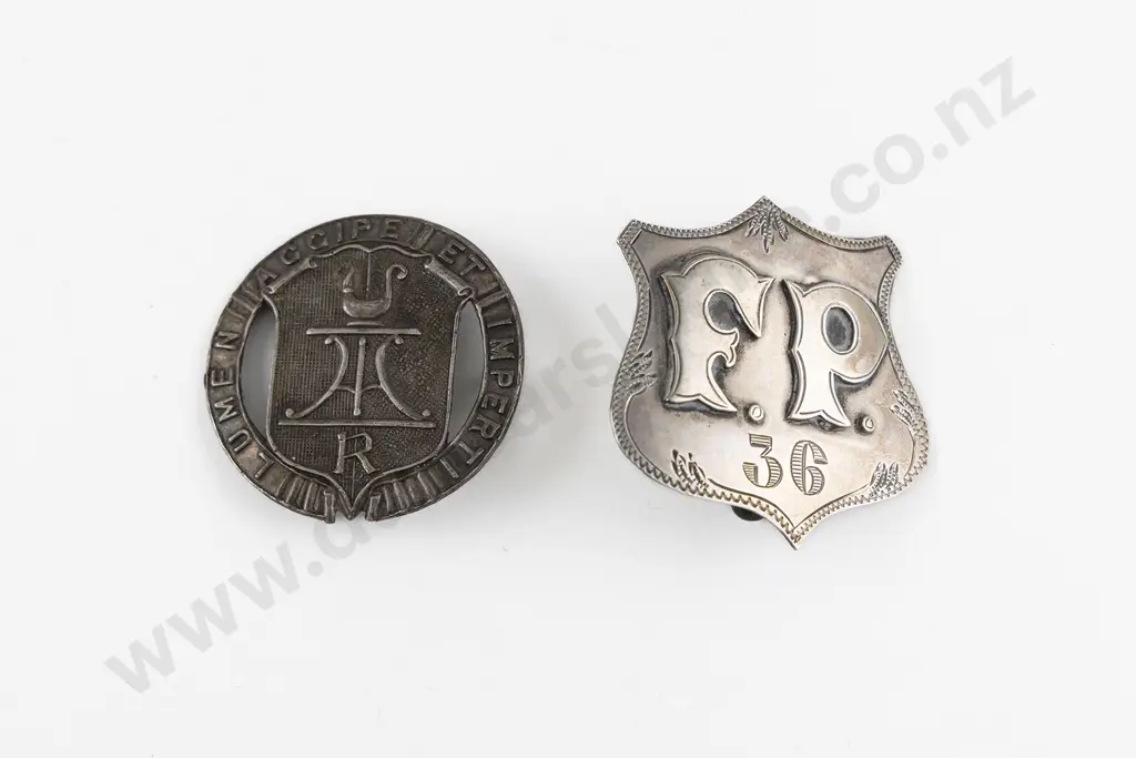 Silver Rongotai College Lumen Accipe Et Imperti Badge and other Image 1++
