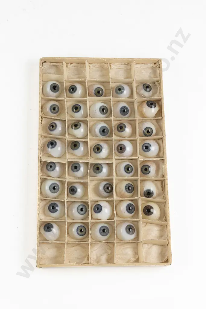 NZ Historical Collection Glass Eyes Image 1++