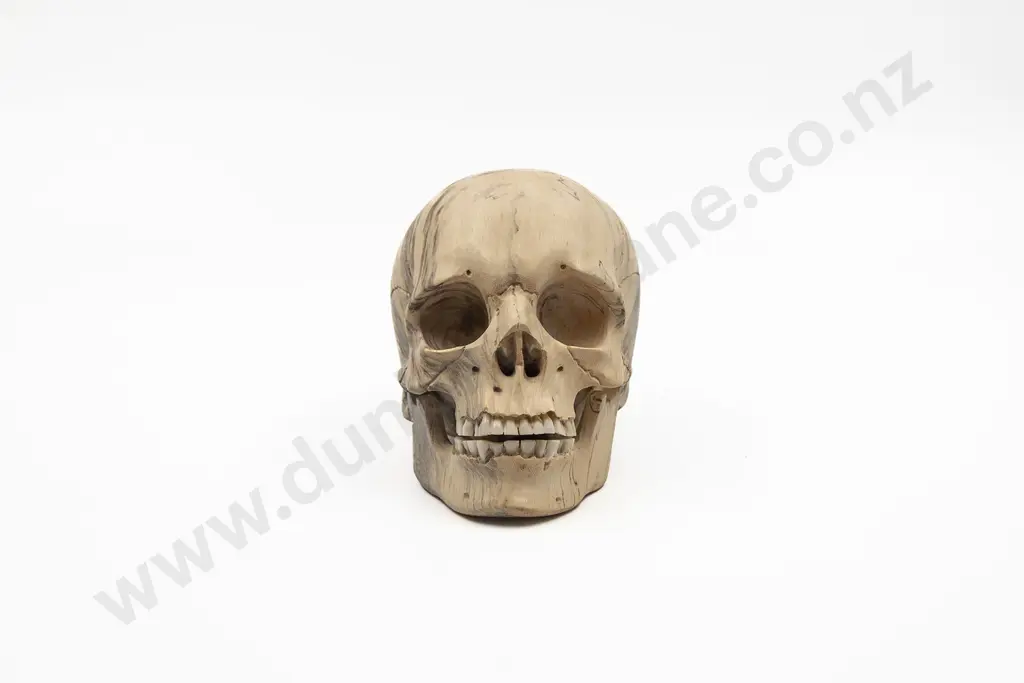 A Good Quality Javanese Carved Wood Skull With Bone Teeth Image 1++