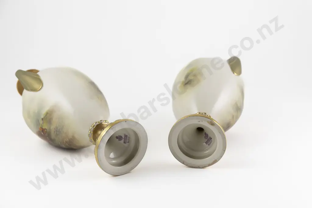 Pair Royal Worcester Specimen Vases Image 1++