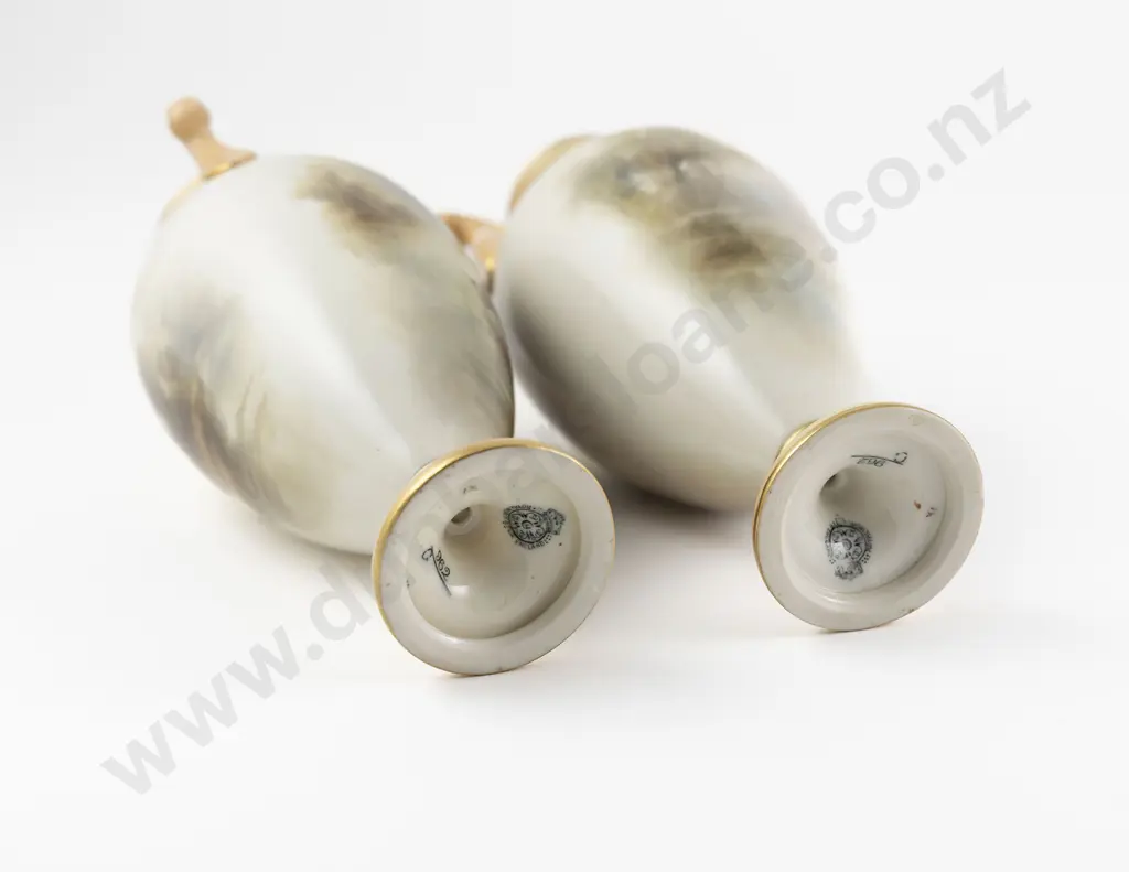 Pair Royal Worcester Specimen Vases Image 1++