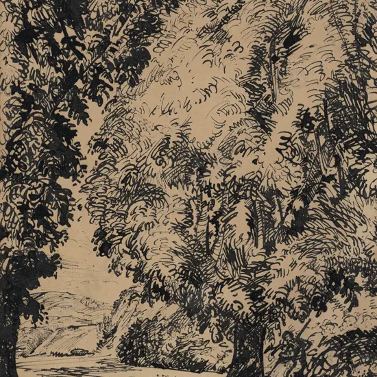 Harry Linley Richardson (1878 - 1947) - Tree Study