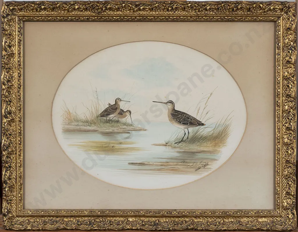 Neville Henry Cayley (Australian 1854 - 1903) - Snipe by the River Image 1++