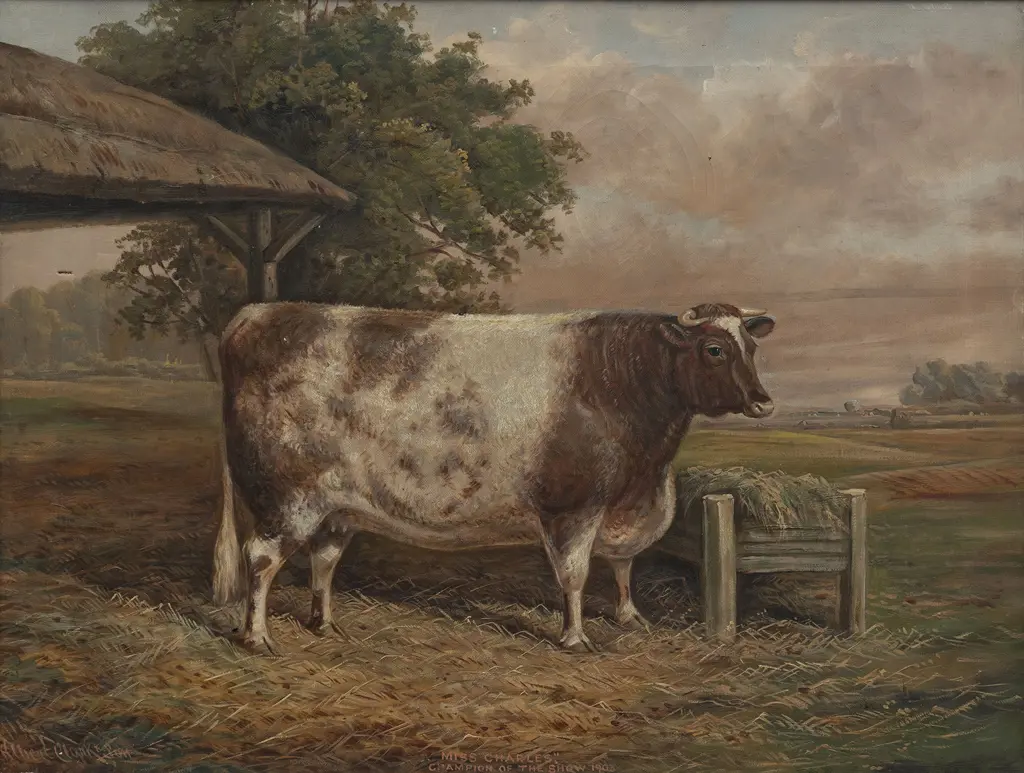 Albert Clark & Son - "Miss Charles" Champion of the Show 1903 Image 1++