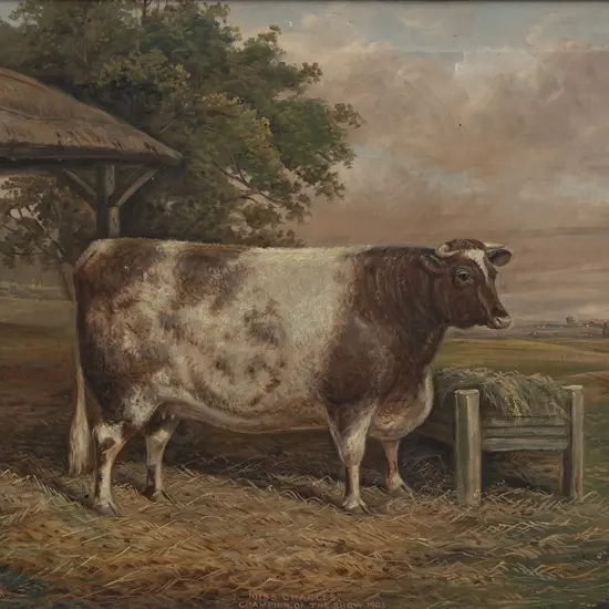 Albert Clark & Son - "Miss Charles" Champion of the Show 1903