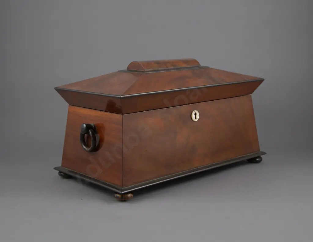 Regency Mahogany & Ebonised Sarcophagus Tea Caddy Image 1++