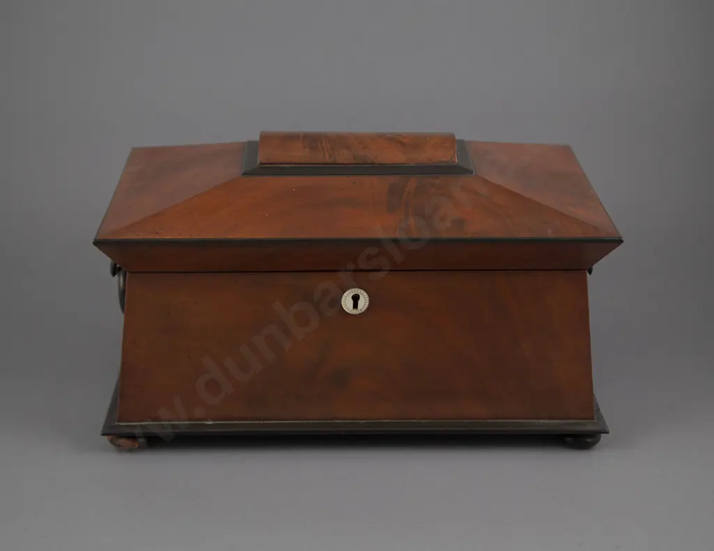 Regency Mahogany & Ebonised Sarcophagus Tea Caddy Image 1++