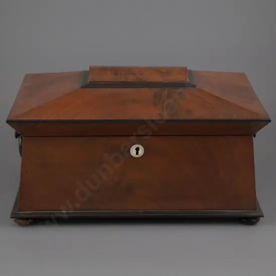 Regency Mahogany & Ebonised Sarcophagus Tea Caddy