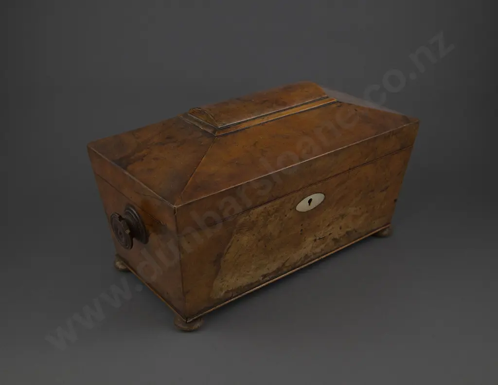 C19th Walnut Sarcophagus Tea Caddy Image 1++