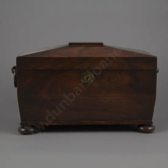 Regency Rosewood Sarcophagus Tea Caddy