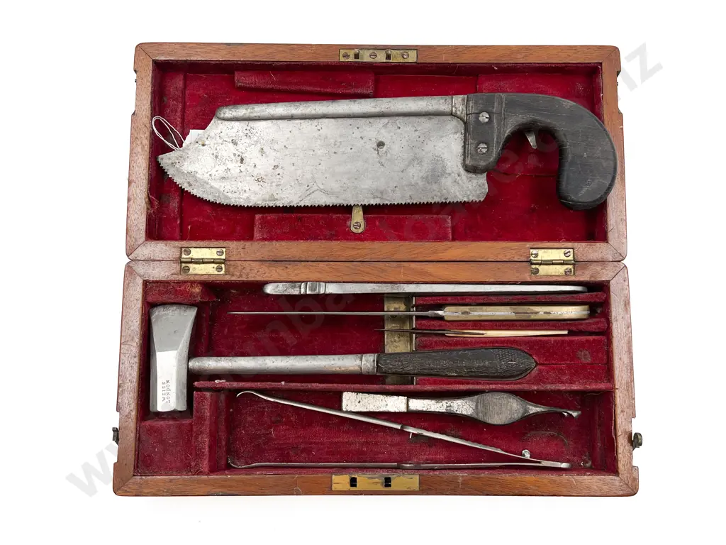 C19th Mahogany Cased Field Surgeons Case Image 1++