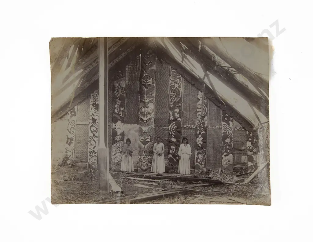 John James Potter (1846-1918) Carved Whare Te Kuiti Image 1++