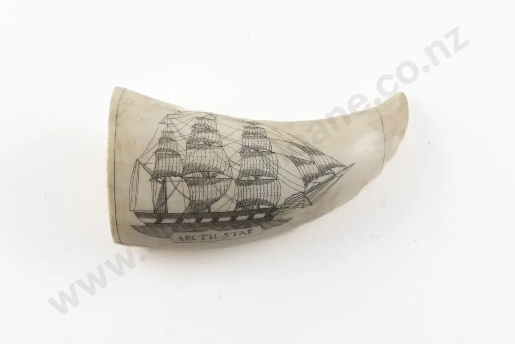 Scrimshaw Whale Tooth Image 1++