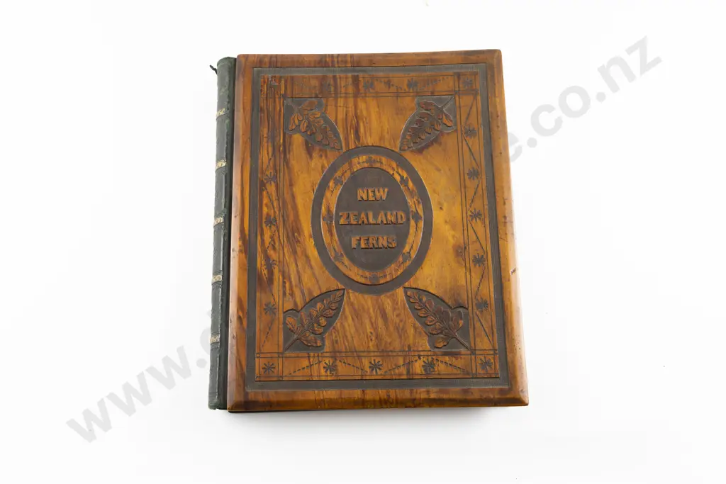 C19th NZ Fern Album By Thomas Cranwell Image 1++