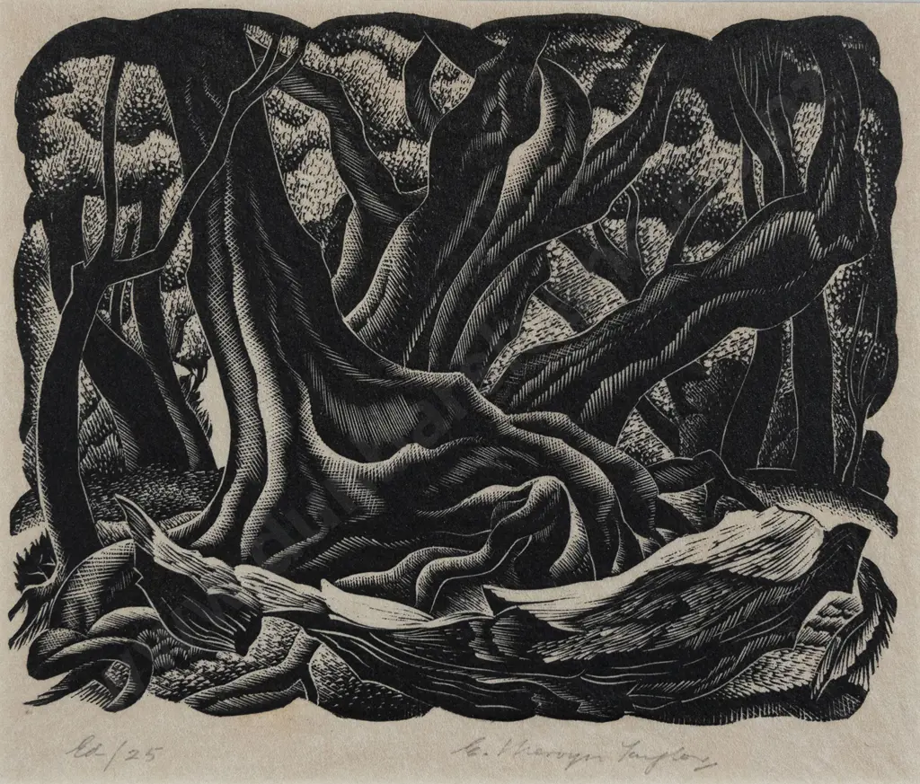 E. Mervyn Taylor (1906 - 1964) - Mahoe Image 1++