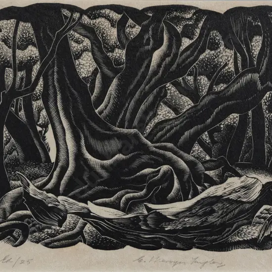 E. Mervyn Taylor (1906 - 1964) - Mahoe