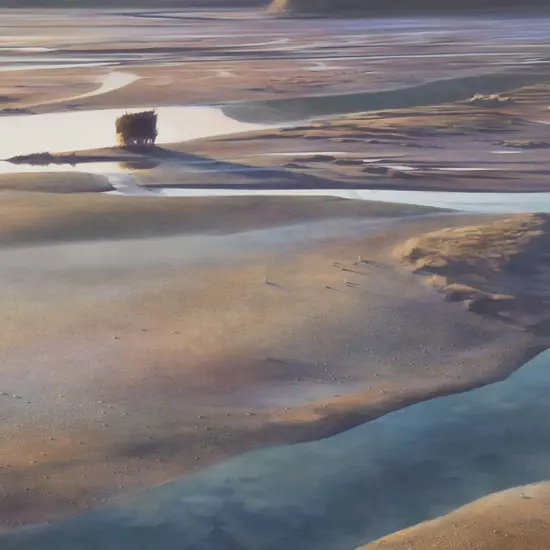Bruce Hunt (b 1964) - Maimai