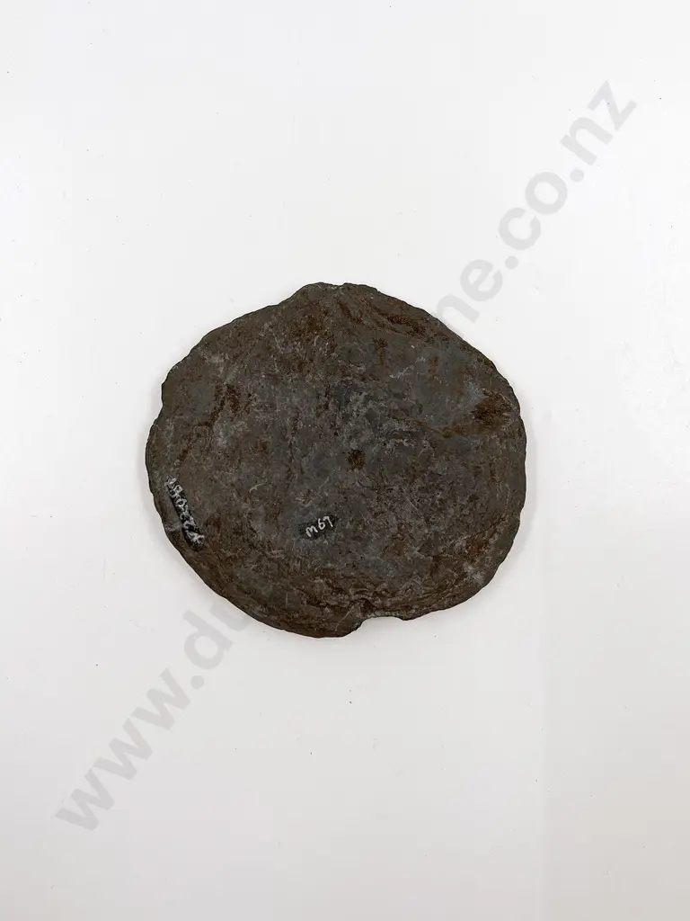A Pounamu Polishing Slate (Greywacke) Image 1++