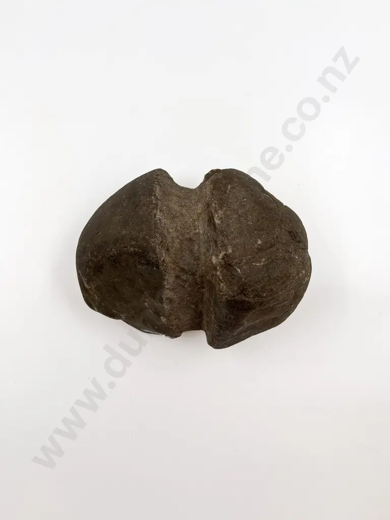 A Large Mahe (Stone Sinker) Image 1++
